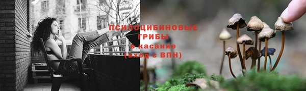 марки nbome Арсеньев