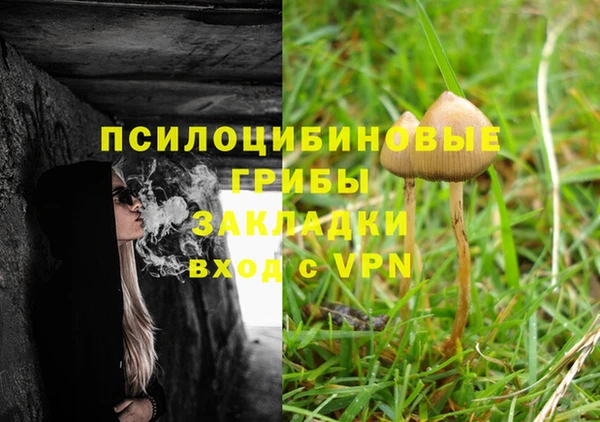ALPHA PVP Армянск