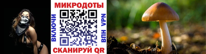цены наркотик Руза Псилоцибиновые грибы Psilocybine cubensis